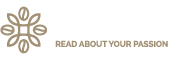 Top Rank Listed Logo